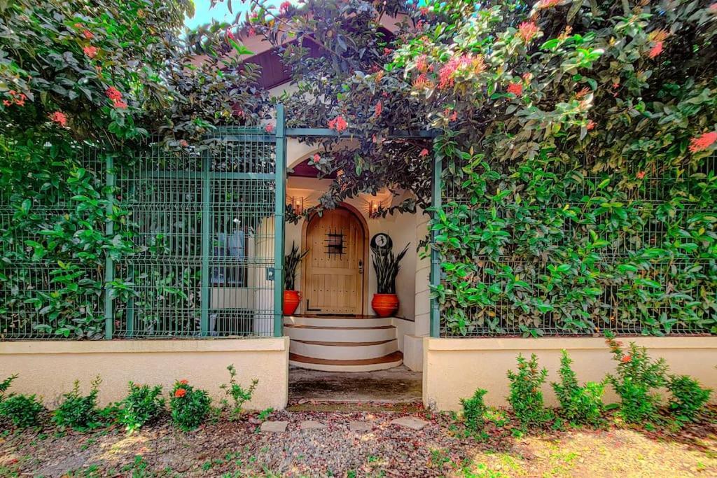 Vive Utila - Bed & Breakfast מראה חיצוני תמונה