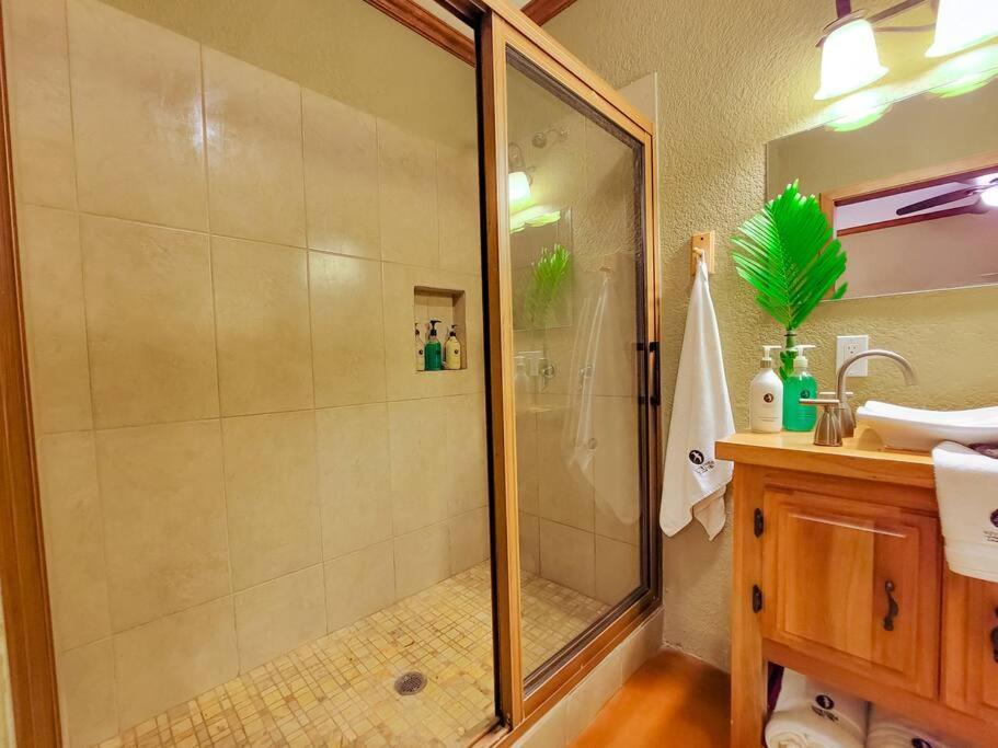 Vive Utila - Bed & Breakfast מראה חיצוני תמונה